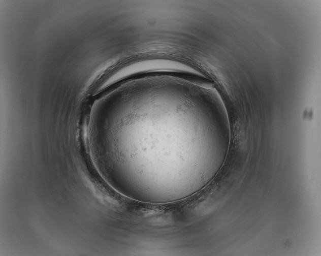 X0000090890400200707271336