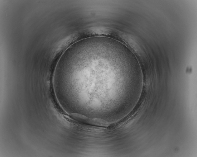 X0000090890402200707271336