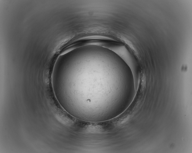 X0000090890403200707271336