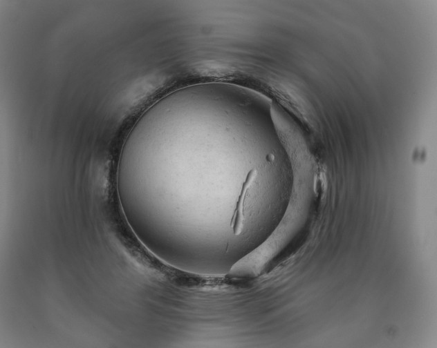 X0000090890404200707271336