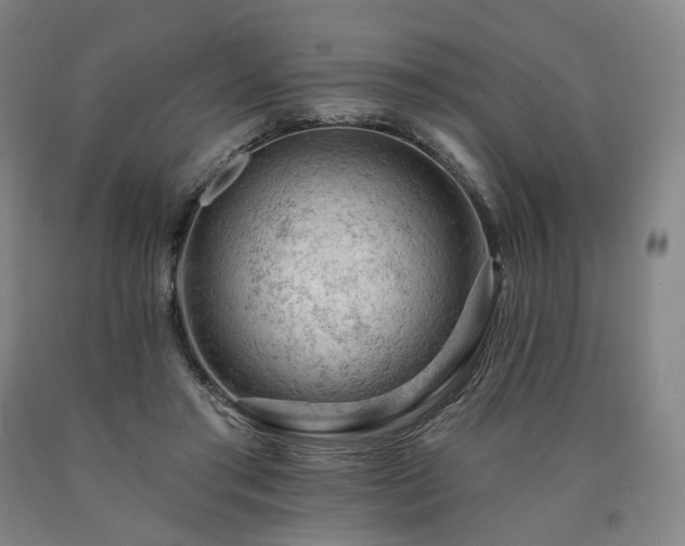 X0000090890405200707271336