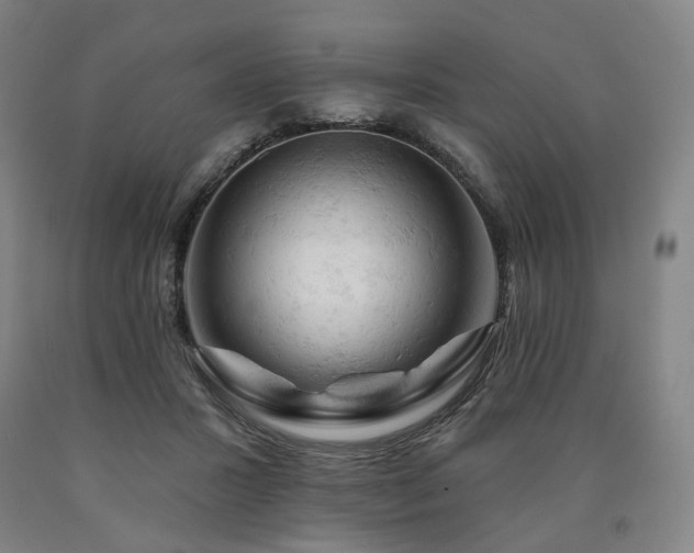 X0000090890407200707271336