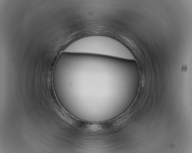 X0000090890409200707271336