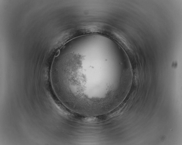 X0000090890410200707271336