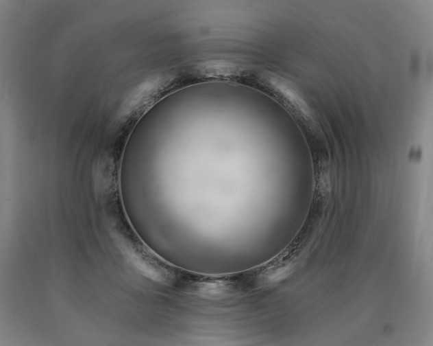 X0000090890411200707271336