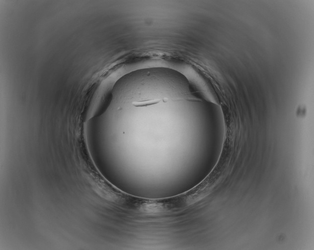 X0000090890413200707271336