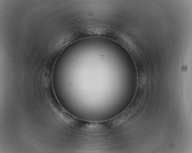 X0000090890414200707271336