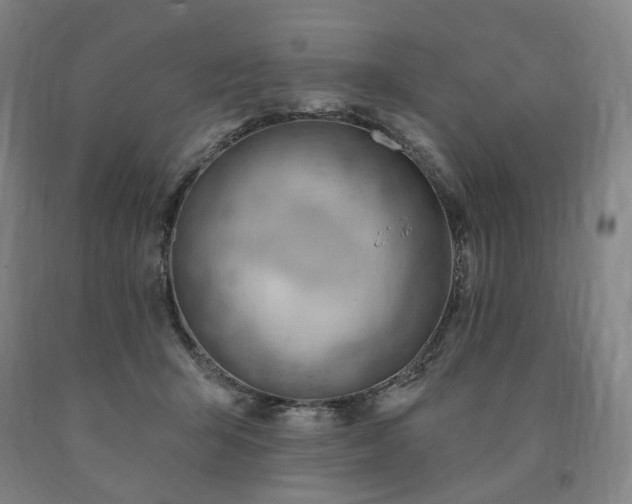 X0000090890415200707271336