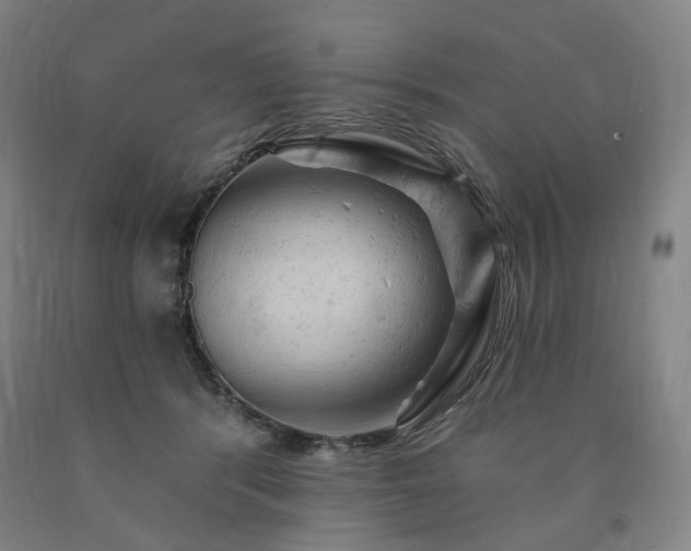 X0000090890416200707271336