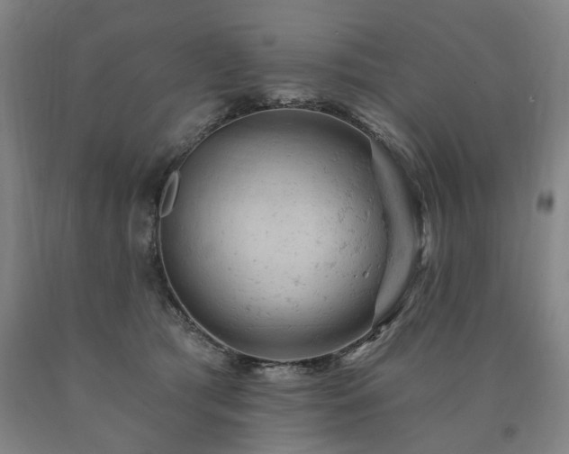 X0000090890417200707271336