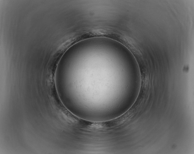 X0000090890418200707271336