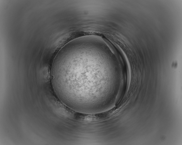 X0000090890420200707271336