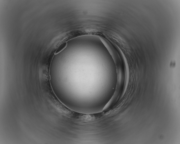 X0000090890421200707271336