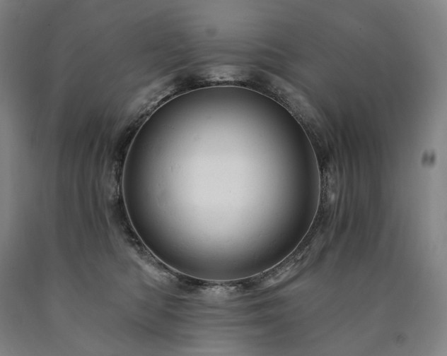 X0000090890422200707271336