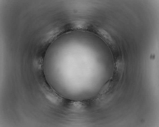 X0000090890423200707271336