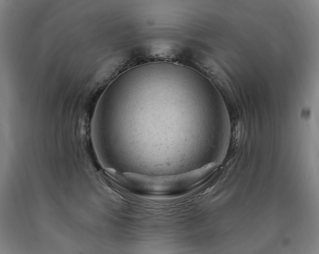 X0000090890424200707271336