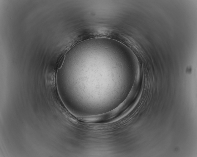 X0000090890425200707271336