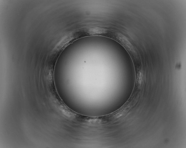 X0000090890426200707271336