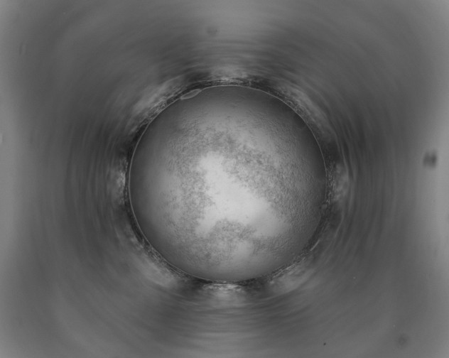 X0000090890427200707271336