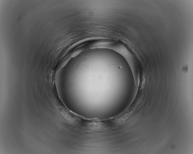 X0000090890428200707271336