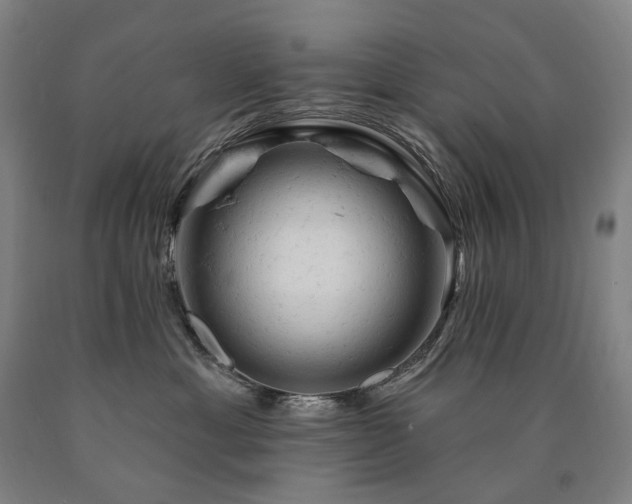 X0000090890429200707271336