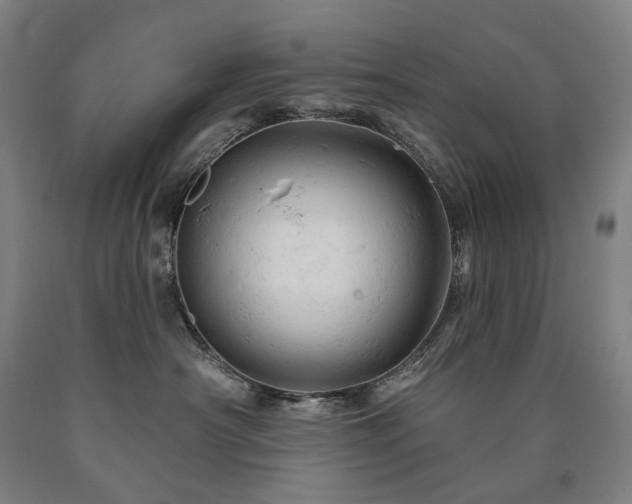 X0000090890430200707271336