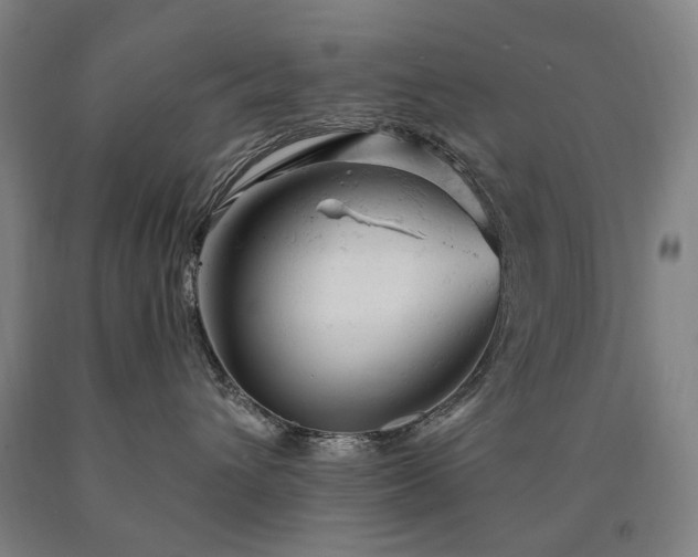 X0000090890432200707271336