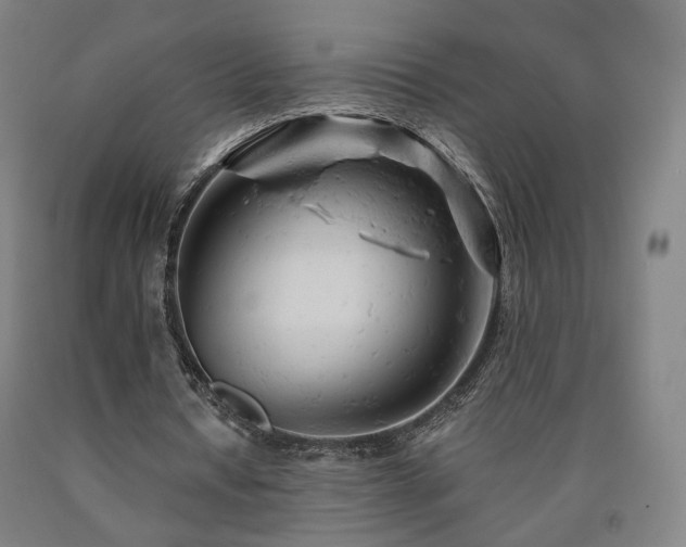 X0000090890434200707271335