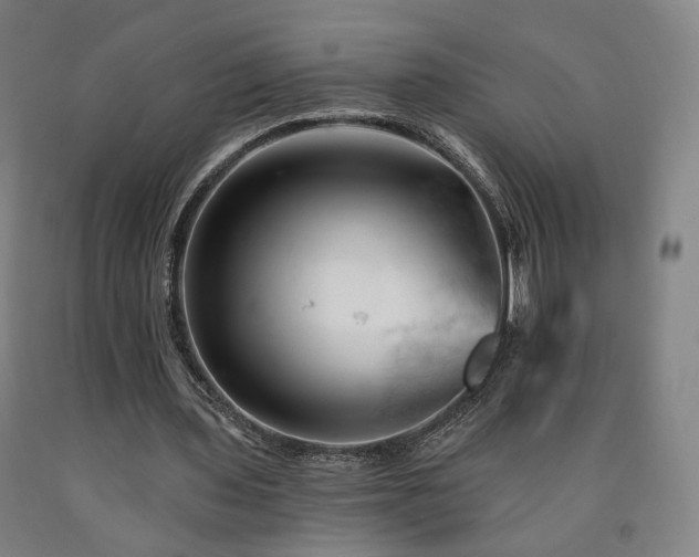 X0000090890435200707271335