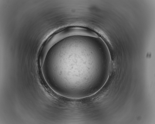 X0000090890436200707271335