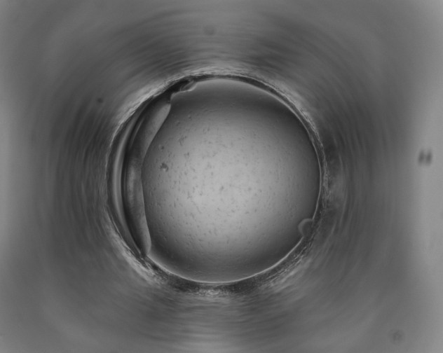 X0000090890437200707271335