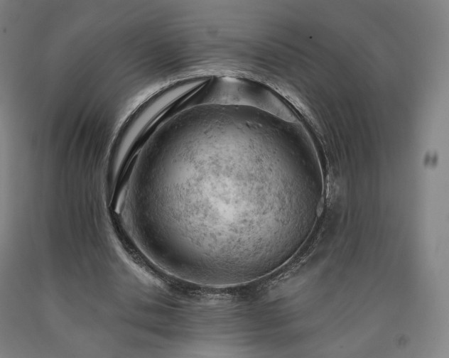 X0000090890438200707271335