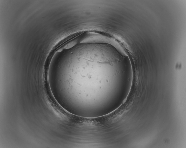 X0000090890439200707271335