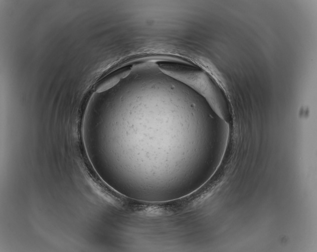 X0000090890441200707271335