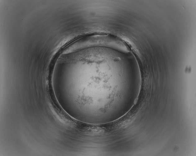 X0000090890443200707271335