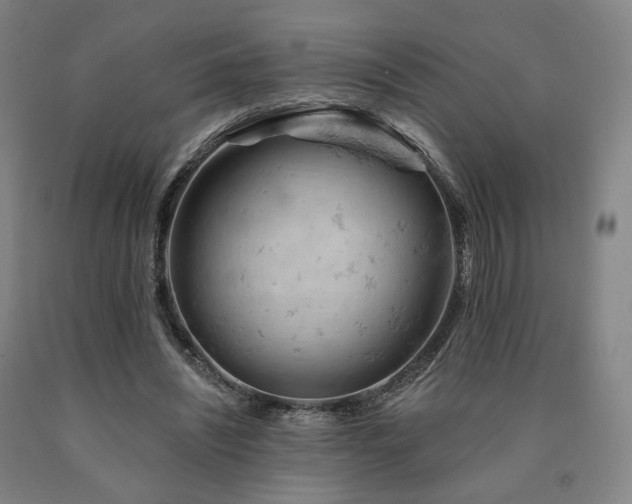 X0000090890444200707271335