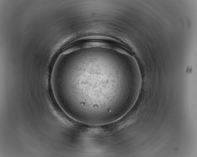 X0000090890446200707271335