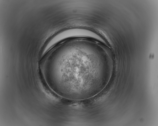 X0000090890447200707271335