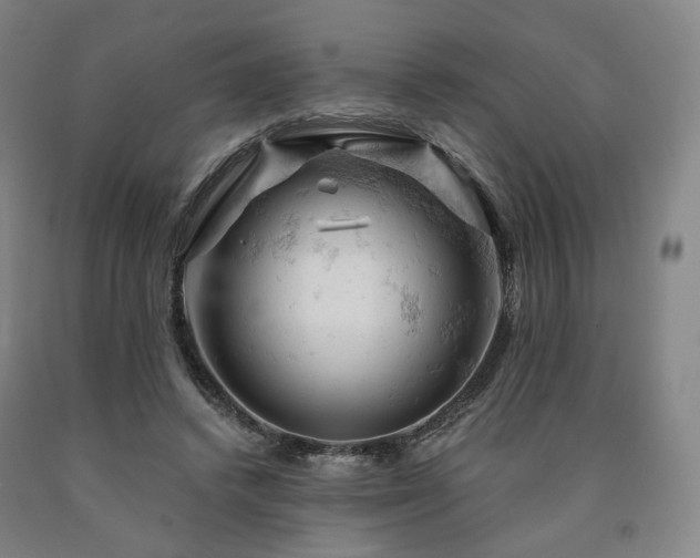 X0000090890448200707271335