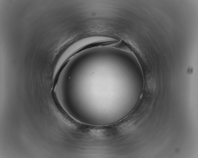 X0000090890450200707271335