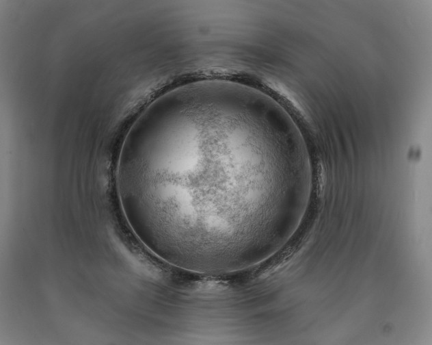 X0000090890451200707271335