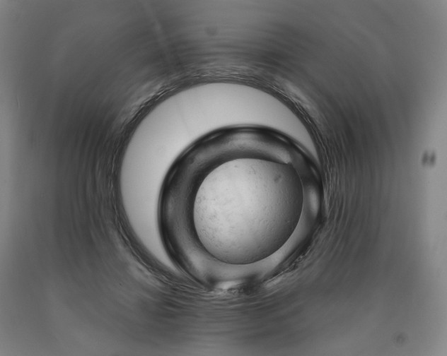 X0000090890452200707271335