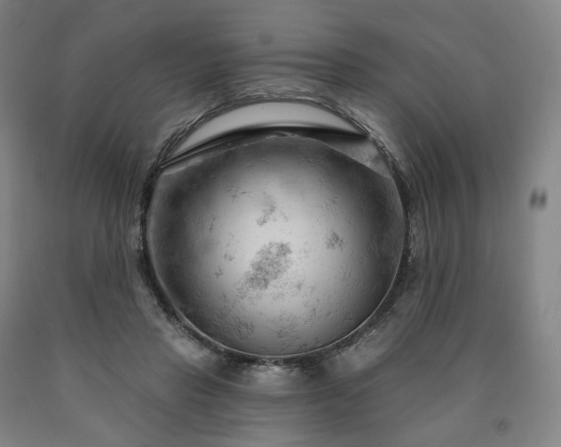 X0000090890453200707271335