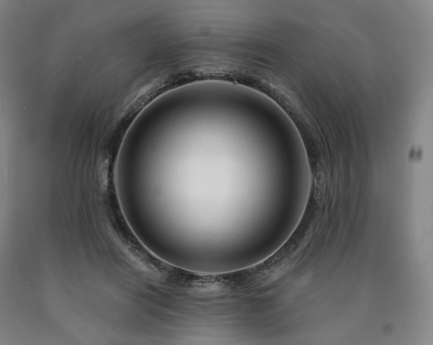 X0000090890454200707271335