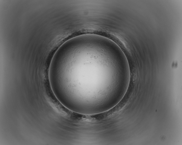 X0000090890455200707271335