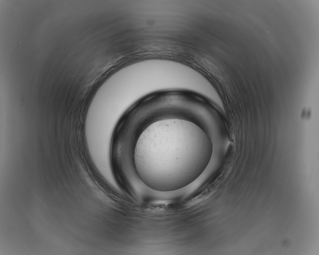 X0000090890456200707271335