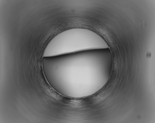 X0000090890457200707271335