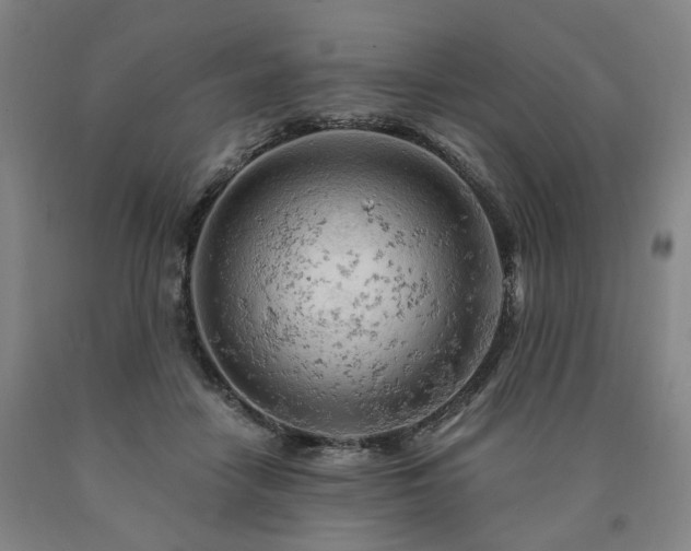 X0000090890458200707271335