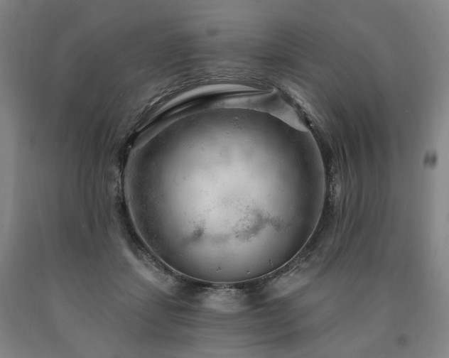 X0000090890459200707271335