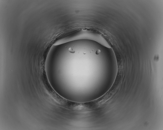 X0000090890460200707271336